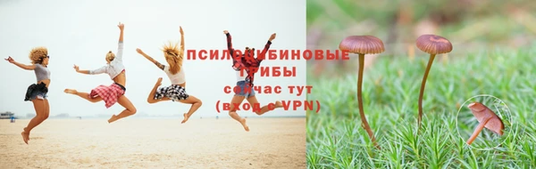 стафф Верхний Тагил
