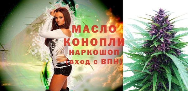стафф Верхний Тагил
