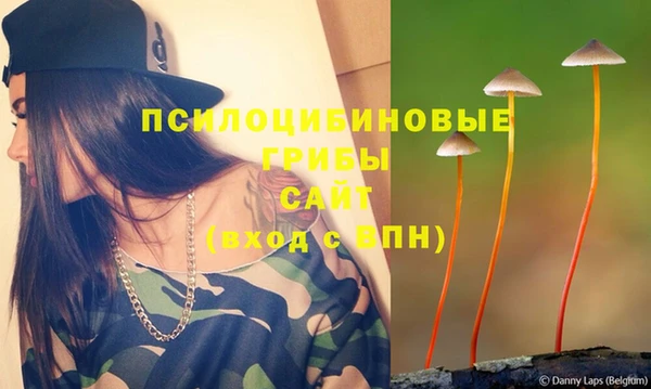 ГАЛЛЮЦИНОГЕННЫЕ ГРИБЫ Верхнеуральск