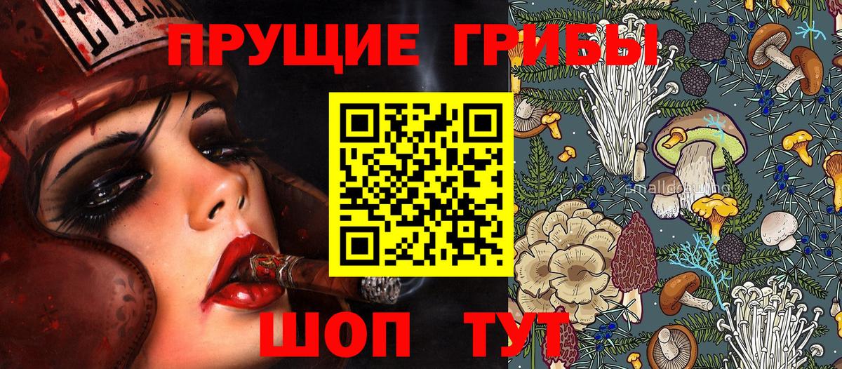 Галлюциногенные грибы Psilocybe Славянск-на-Кубани